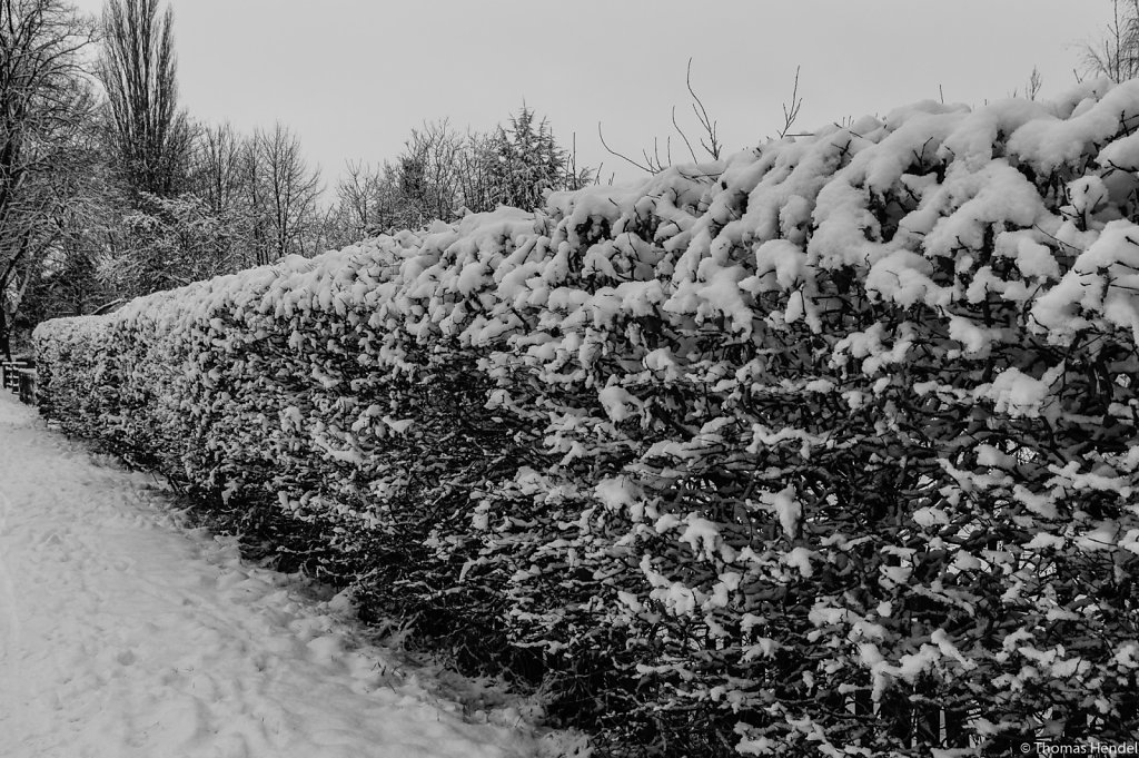 A snowy wall.