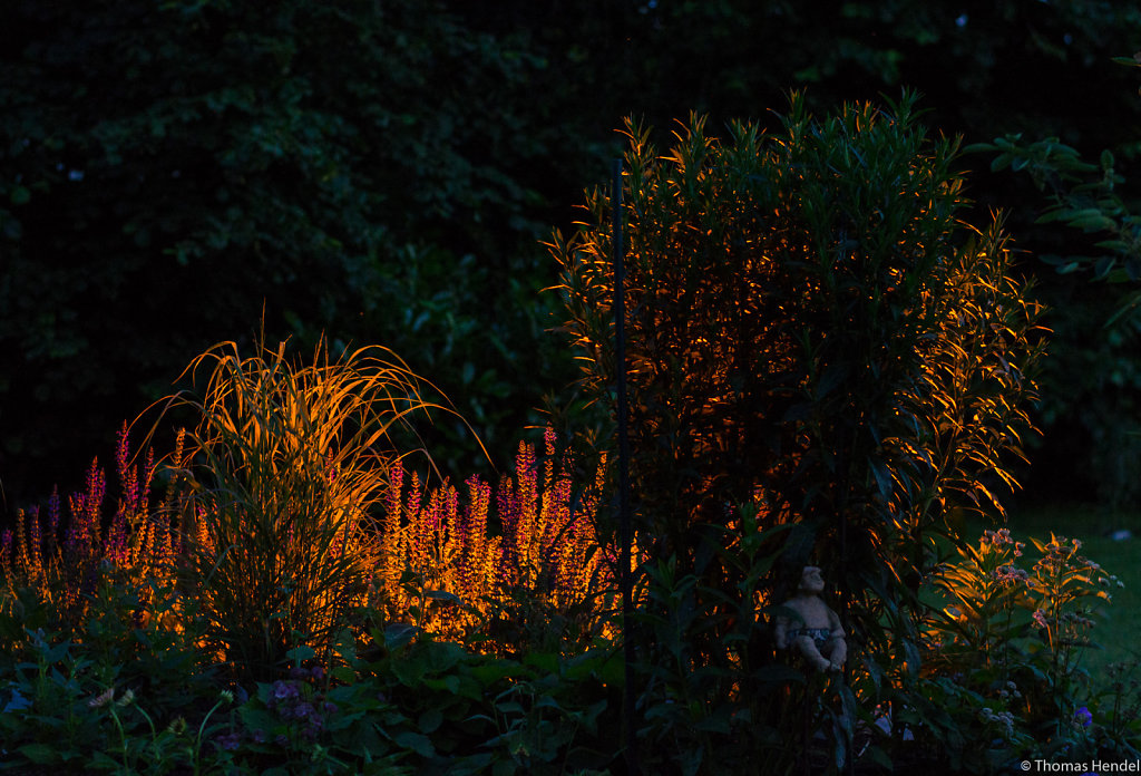 Summer in Borgsdorf