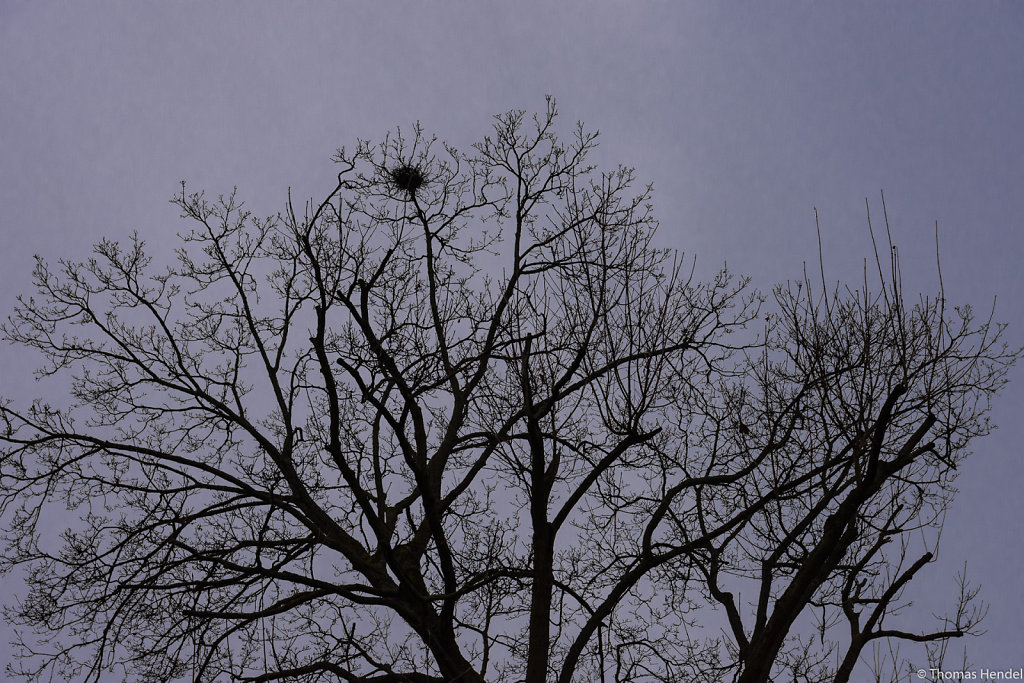 Crow's nest.