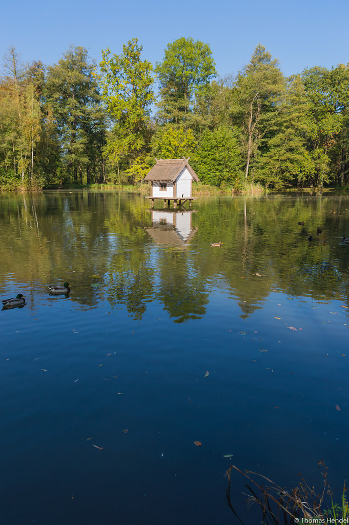 Castle's pond.