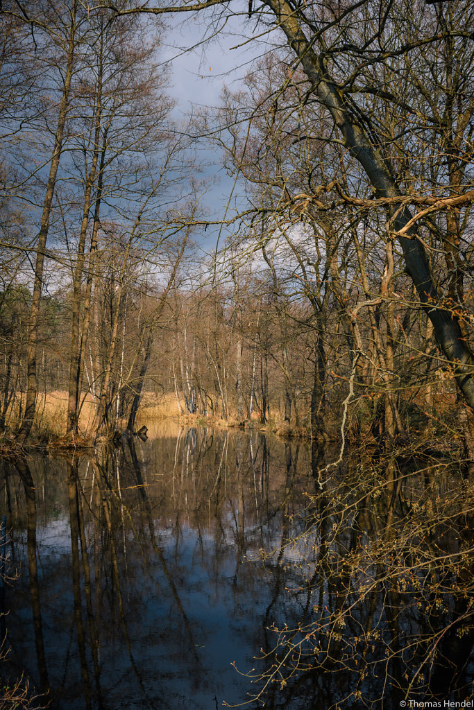 Mills pond.