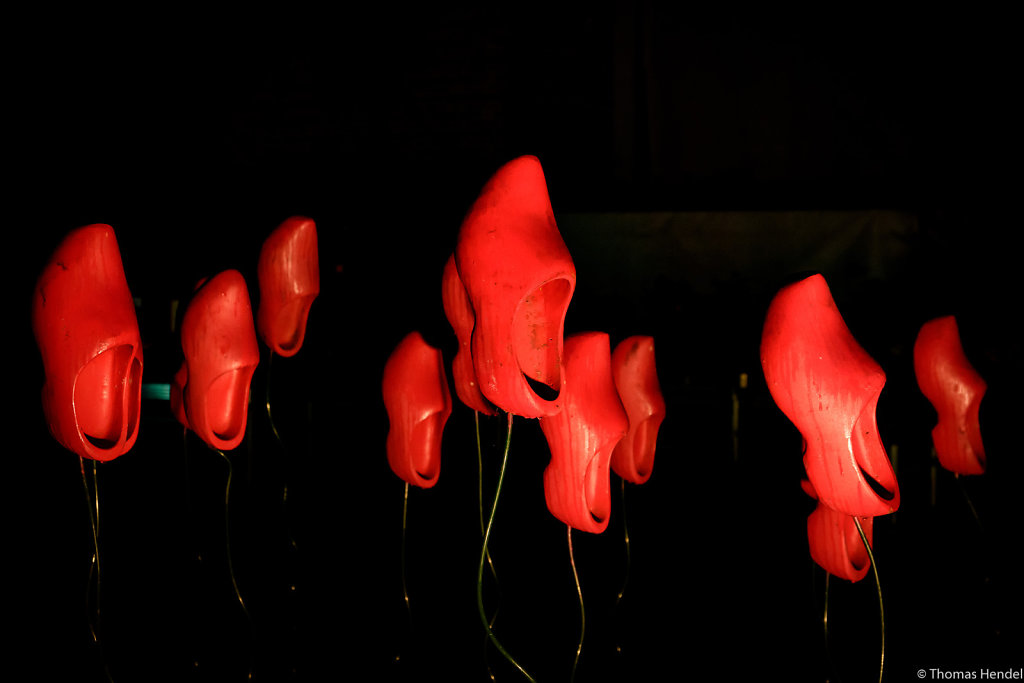 Tulips I