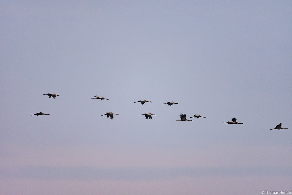 Formation Flying.