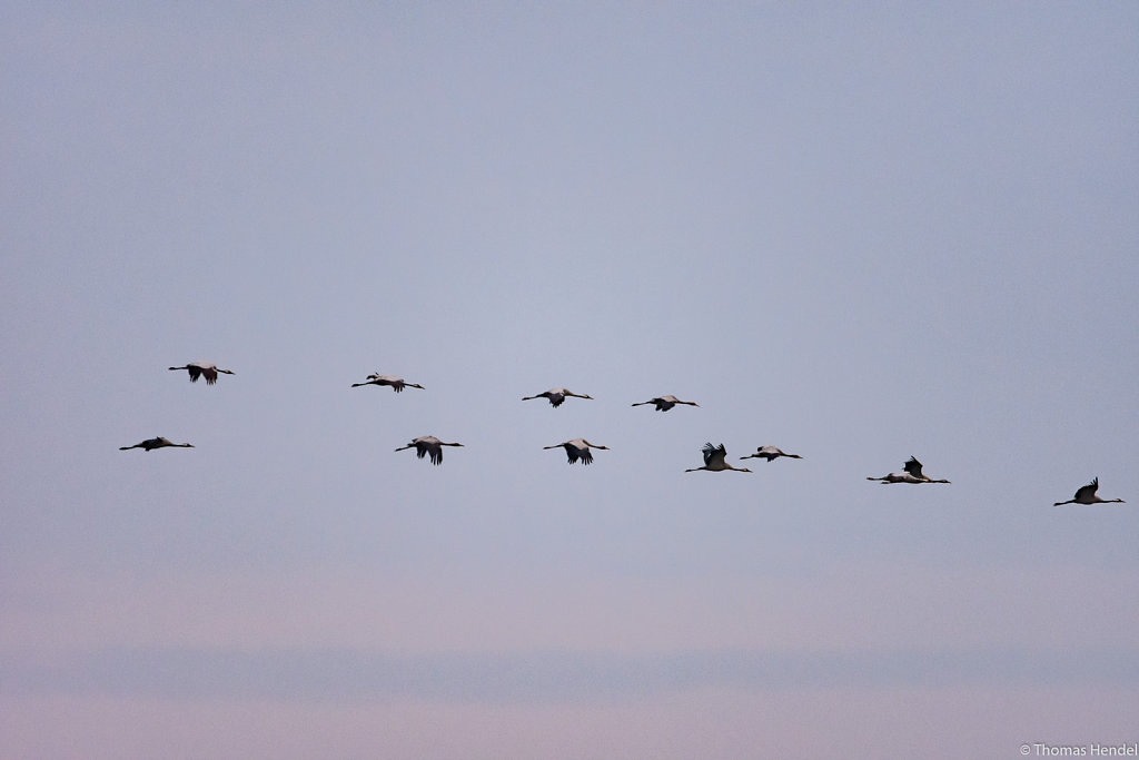 Formation Flying.