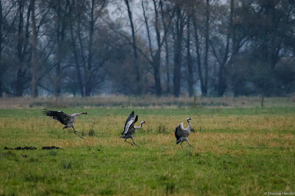 Slowdown - Touchdown - Landed.