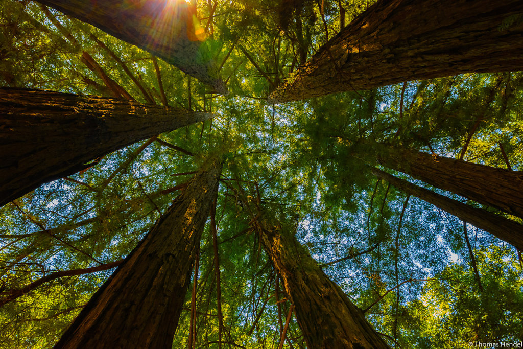 From Underneath.