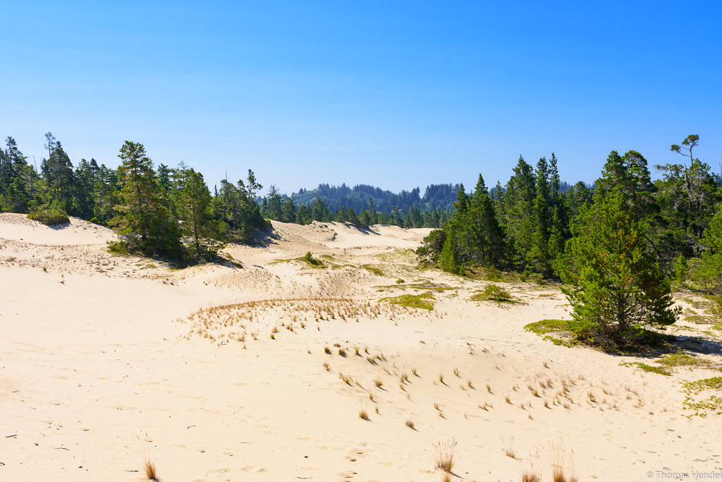 Dunes.