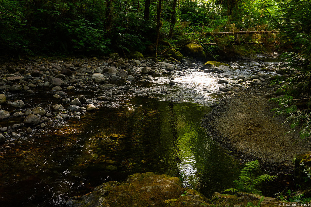 Along the Trail.