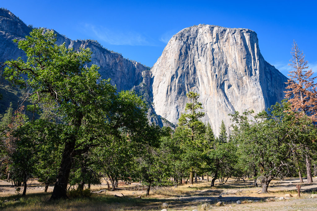 El Capitán.