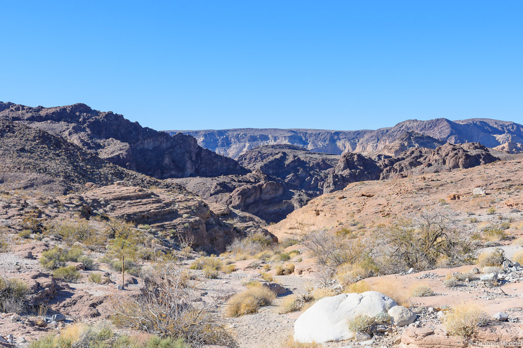 Into the Canyon.