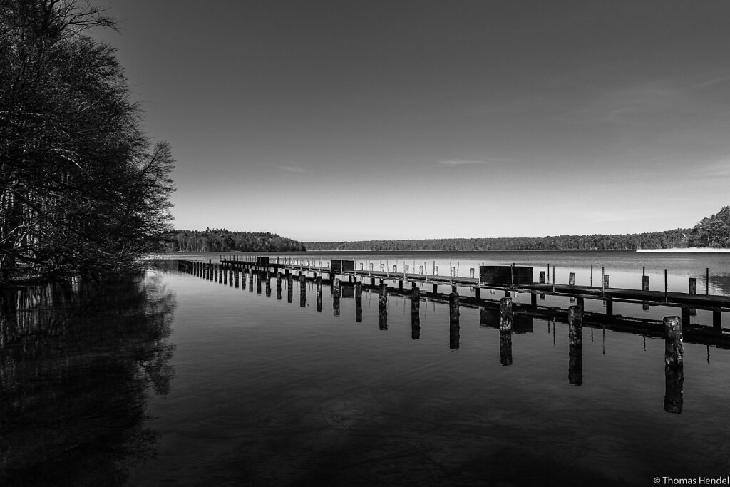 Lake Stechlinsee B+W