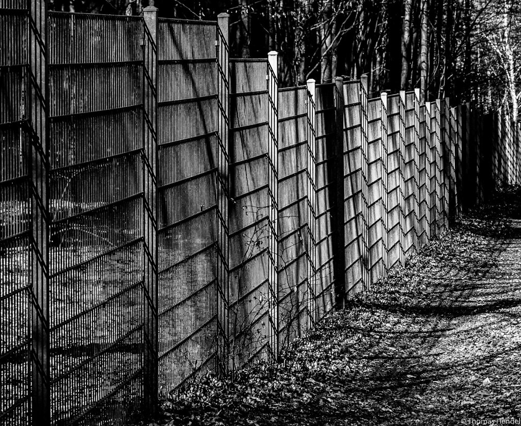 Fenceline.