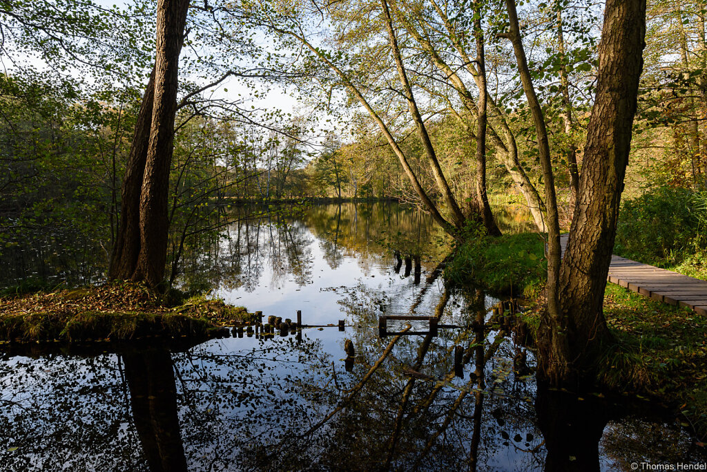 The Old Weir.